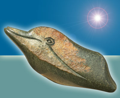 Baby Dolphin 25k
