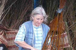 Ineke Visser