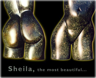 Sheila 31k